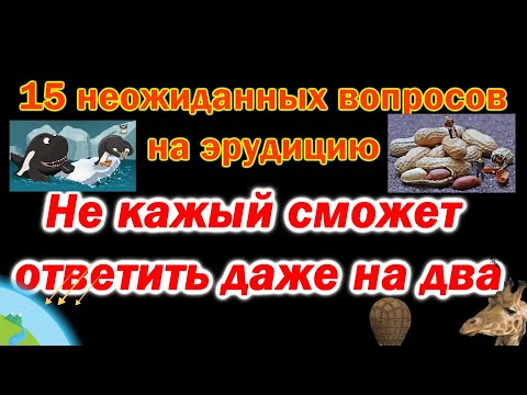 Видео: Тест для прокачки мозга. Проверим насколько ты эрудирован