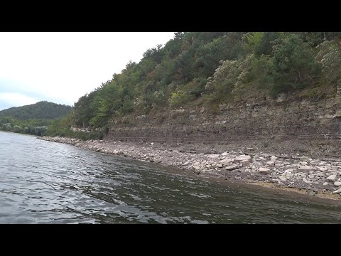 Видео: На квок