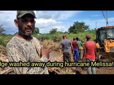Видео: Кустарниковый парк на Джамейском мосту восстанавливается после урагана Мелисса 🇯🇲🇯🇲🇯🇲