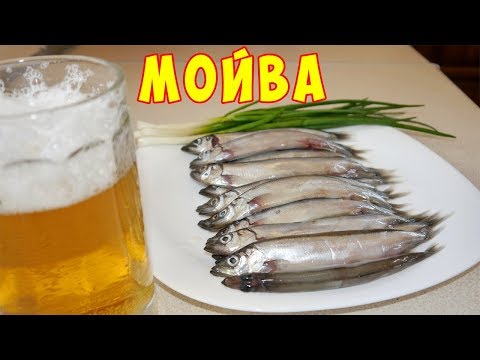 Видео: МОЙВА ПРЯНОГО ПОСОЛА !!!