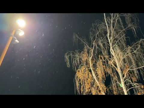 Видео: Любовь Каратаева. Ремикс песни Сальваторе Адамо на саха.