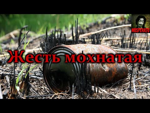 Видео: ЖЕСТЬ МОХНАТАЯ. Страшные истории на ночь. Страшилки на ночь