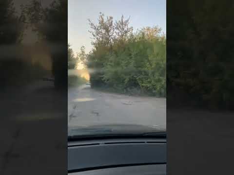 Видео: 17 сентября 2025 г.