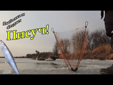 Видео: Рыбалка по Первому Льду на Речке Суйфун! Рыбалка на Корюшку Писуч!
