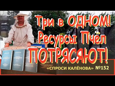 Видео: Всё по Максимуму! Мёд и Долгоживущие Пчелы, и Многоматочное Пчеловодство. Три в одном - Возможно ли?