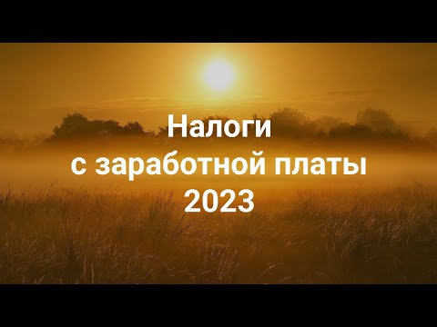 Видео: НДФЛ и страховые взносы 2023 + 📚Удобная статья-справочник + 🔥Бесплатный ПРАКТИКУМ на Stepik!