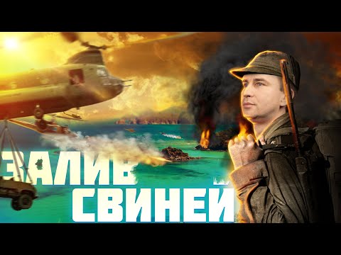 Видео: Высадка в заливе Свиней. Глеб Таргонский.