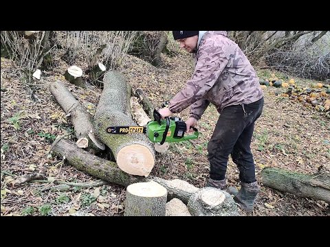 Видео: Аккумуляторная пила Procraft pca 40/2#тест