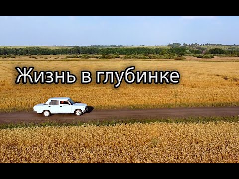 Видео: Жизнь в глубинке. Типичные деревенские будни. Убираем махорку. Купаемся в пруду. Природа вокруг.