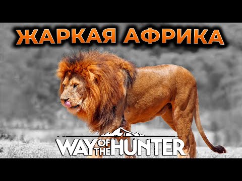Видео: WAY OF THE HUNTER ПРОХОЖДЕНИЕ ► НОВАЯ КАРТА TIKAMOON PLAINS - АФРИКА ► СИМУЛЯТОР ОХОТЫ ► RTX 4090 #1