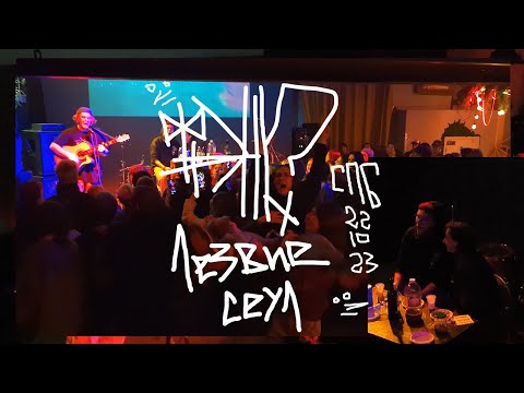 Видео: фрэнк?/Лезвие Сеул — Петербург Ласточка (live)