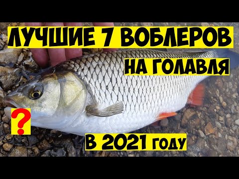 Видео: ТОП 7  Лучшие воблеры на ГОЛАВЛЯ в 2021 году! Ловля Голавля на Спиннинг! Рыбалка на голавля! Голавль