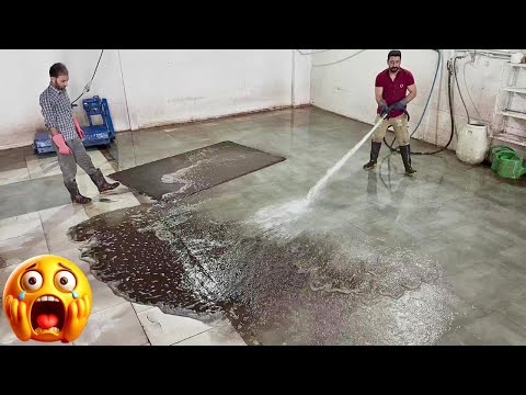 Видео: Никто не ожидал такого под ковром — смотрите шокирующее открытие — ASMR-чистка ковров