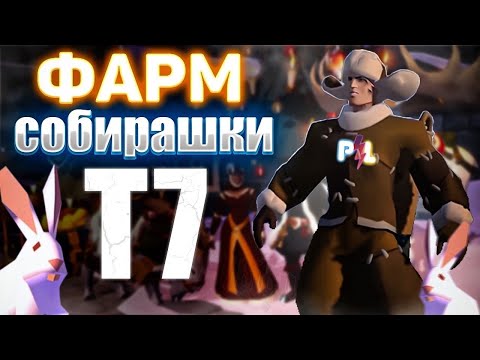 Видео: Заработок собирашки 7 тира во Мгле Albion Online | Pro Leto