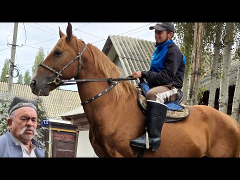 Видео: Адыл авада  Дончак  Сатууга Чыкты 