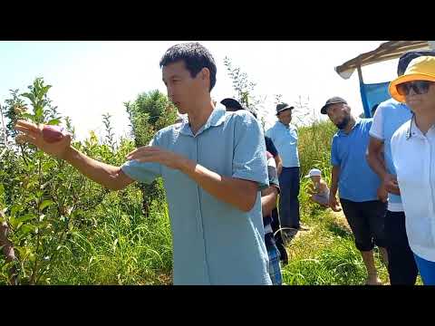 Видео: Отуз адыр айыл аймагы Медербек Жаанбаев уюштурган семинар