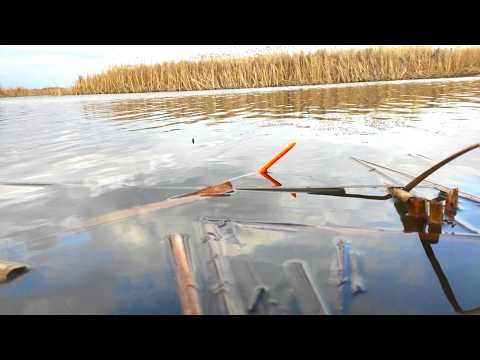 Видео: ЖОР САЗАНА, КРУПНЫЙ КАРАСЬ НА ПОПЛАВОК!!! Рыбалка на поплавок весной