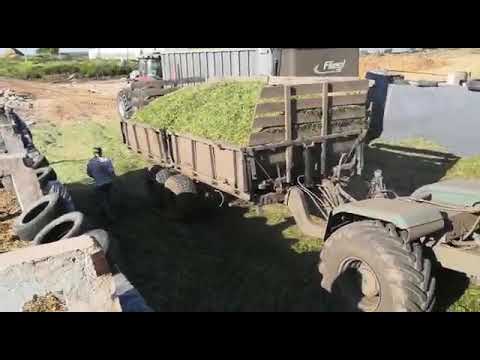 Видео: Закладка сенажа в яму 16 06 2020