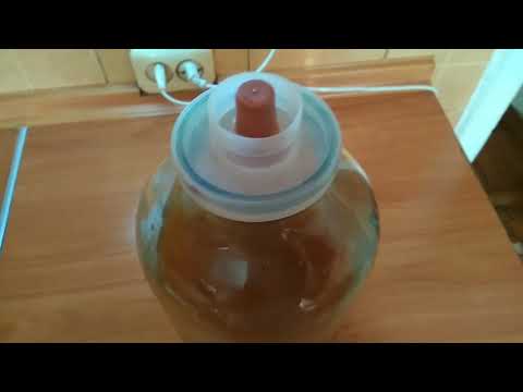 Видео: Абрикосовое вино очень легко.