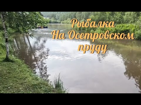 Видео: Мормышинг на Осетровском пруду