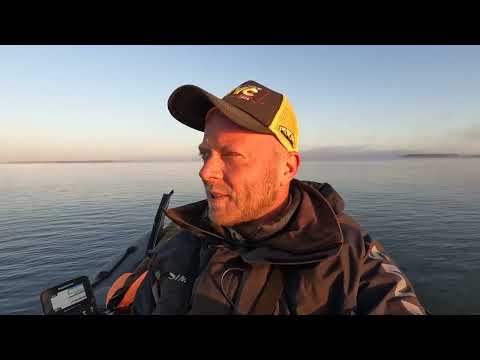 Видео: Рыбалка на ЯУЗСКОМ ВДХР! Ловля СУДАКА и ОКУНЯ на ДЖИГ в СЕНТЯБРЕ!