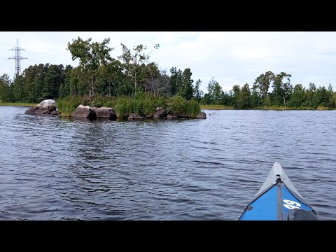 Видео: 30 августа 2024 г.