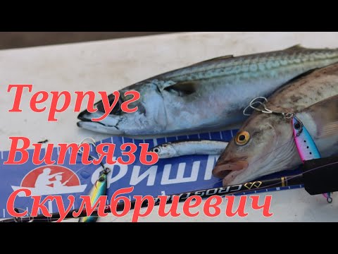 Видео: Бухта Витязь. Терпуг, Витязь, Скумбриевич.#терпуг#рыбалкавприморскомкрае