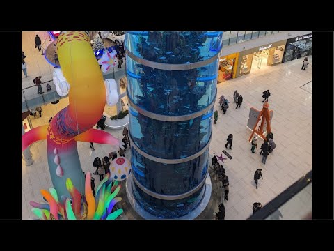 Видео: Самый большой аквариум в Авиапарке!