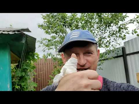 Видео: Разорвет ли канистру пАром? Опасный эксперимент. Не повторять!