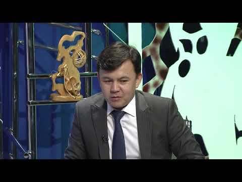 Видео: Сыр сүлейін сұрасаң...