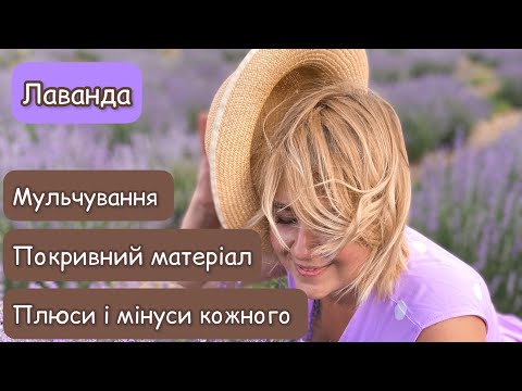 Видео: Лаванда. Мульчування. Покривний матеріал. Плюси і мінуси кожного варіанту.