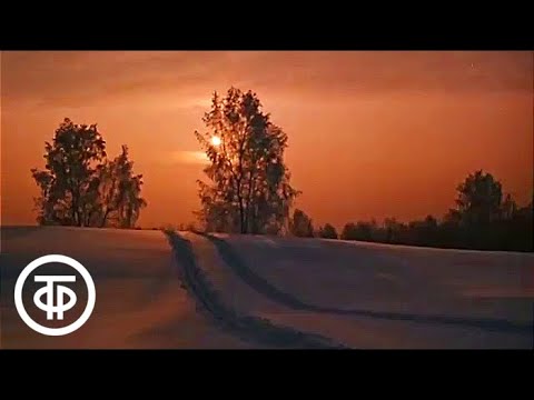 Видео: Телевизионная энциклопедия "По Советскому Союзу". Лес (1985)