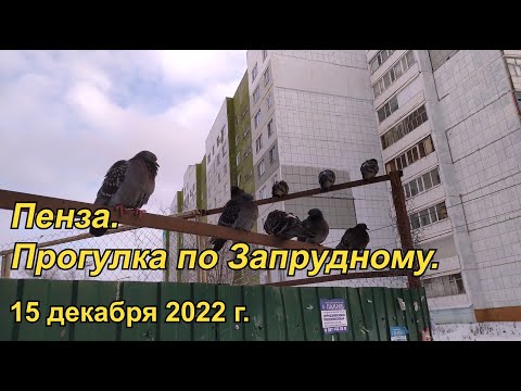 Видео: Пенза. Прогулка по Запрудному. 15.12.2022