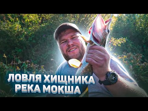 Видео: Наловили хищника на реке. Карбонара в казане на костре. Уха из пойманной рыбы. Рыбалка на спиннинг