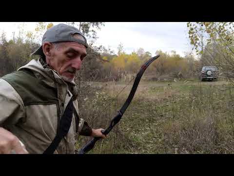 Видео: Джансинг ф179 50#