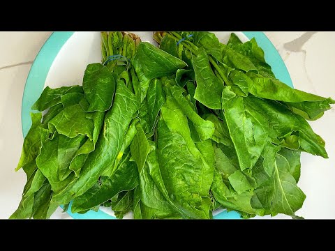 Видео: КАК ГОТОВИТЬ ШПИНАТ ЧУДУ СУПЕР РЕЦЕПТЫ ЛЕГКО И ВКУСНО так ещё не готовили новогодний стол 2022