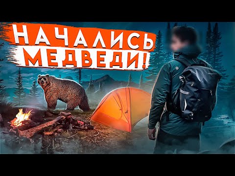 Видео: УХОЖУ ДАЛЬШЕ В ЛЕС. МЕДВЕДЕЙ ВСЁ БОЛЬШЕ. ПОХОД, АБВГАТ