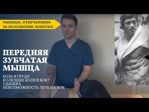 Видео: Боль под лопаткой, немеют пальцы. Причина в передней зубчатой мышце.
