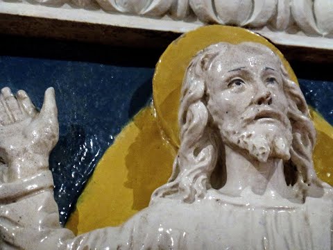 Видео: Б А Р Д Ж Е Л Л О Флор март2019 05май2020 2704x1520