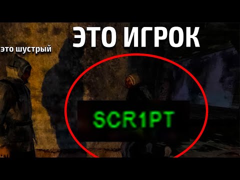 Видео: СТАЛКЕР Тень Чернобыля ПО СЕТИ в 2025 ГОДУ!