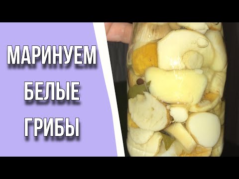Видео: МАРИНУЕМ БЕЛЫЕ ГРИБЫ / ЛЕГКО! БЫСТРО! ОЧЕНЬ ВКУСНО!