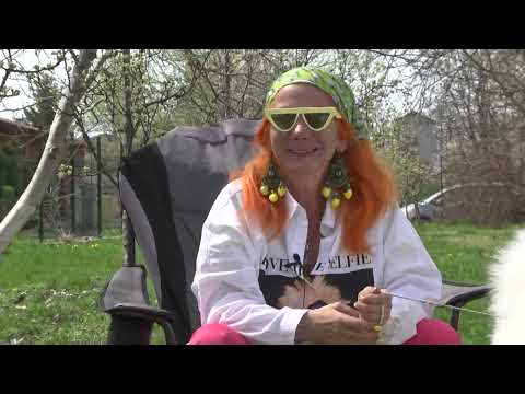 Видео: За кинологията с д-р Кънев: Три едри и рядко срещани породи