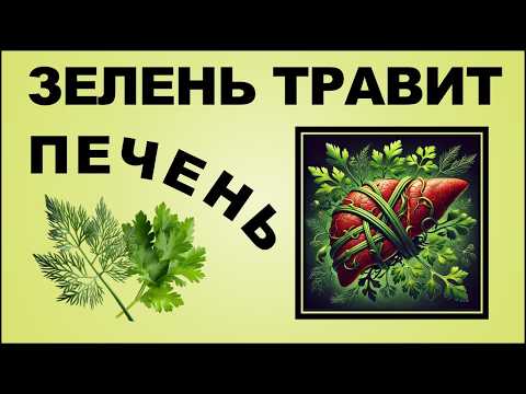 Видео: Опасные укроп и петрушка! Сколько зелени можно есть?