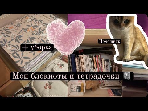 Видео: Обзор всех моих блокнотов и тетрадей генеральная уборка vlog  @pollypie мой кот мой рабочий стол 