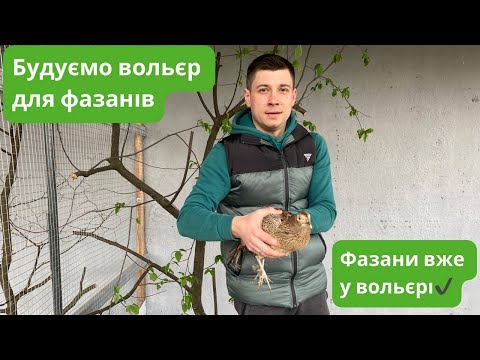 Видео: Будуємо вольєр для фазанів - фазани вже у вольєрі