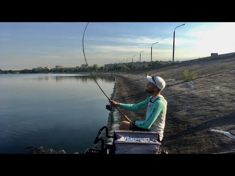 Видео: Ловля плотвы на пикер