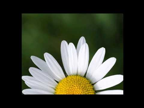 Видео: Worship - Магтан дуу - Би өчүүхэн нэгэн