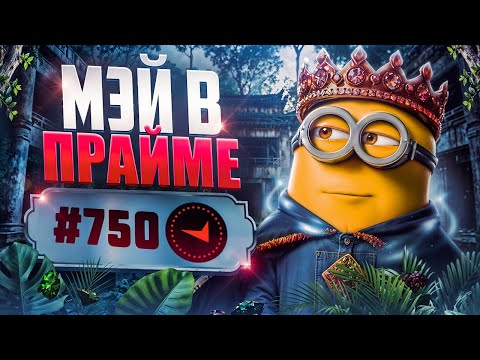 Видео: В СОЛО В ТОП750 - Я В ПРАЙМЕ