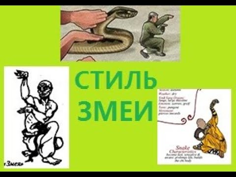 Видео: УШУ, Кунг-Фу, Стиль Змеи, Шэсинцюань, Snake Style, 蛇風格