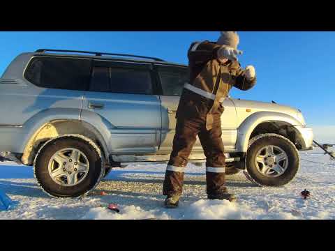 Видео: Ловля зубаря на бухте Гертнера, Магадан, зимняя рыбалка 2023 год